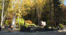 Зеленоградское кладбище