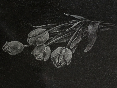 Тюльпаны теневые (ручная гравировка) Гр-22 Цветы и ветви